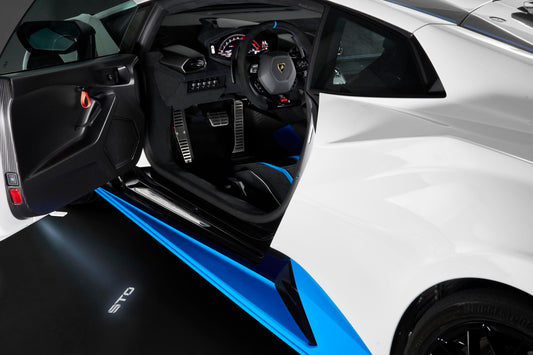 Door Lights STO Logo