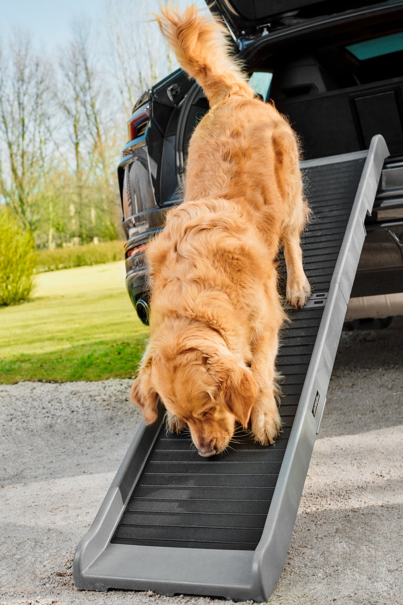 Pet Ramp