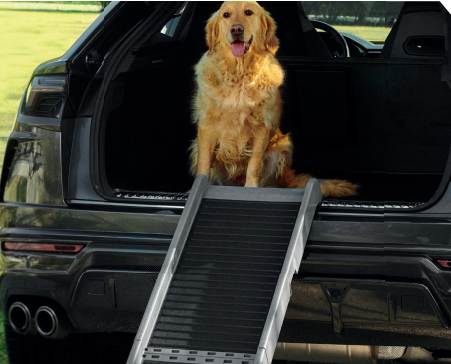 Pet Ramp